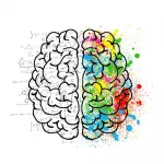 a0mdq_150_brain150x150