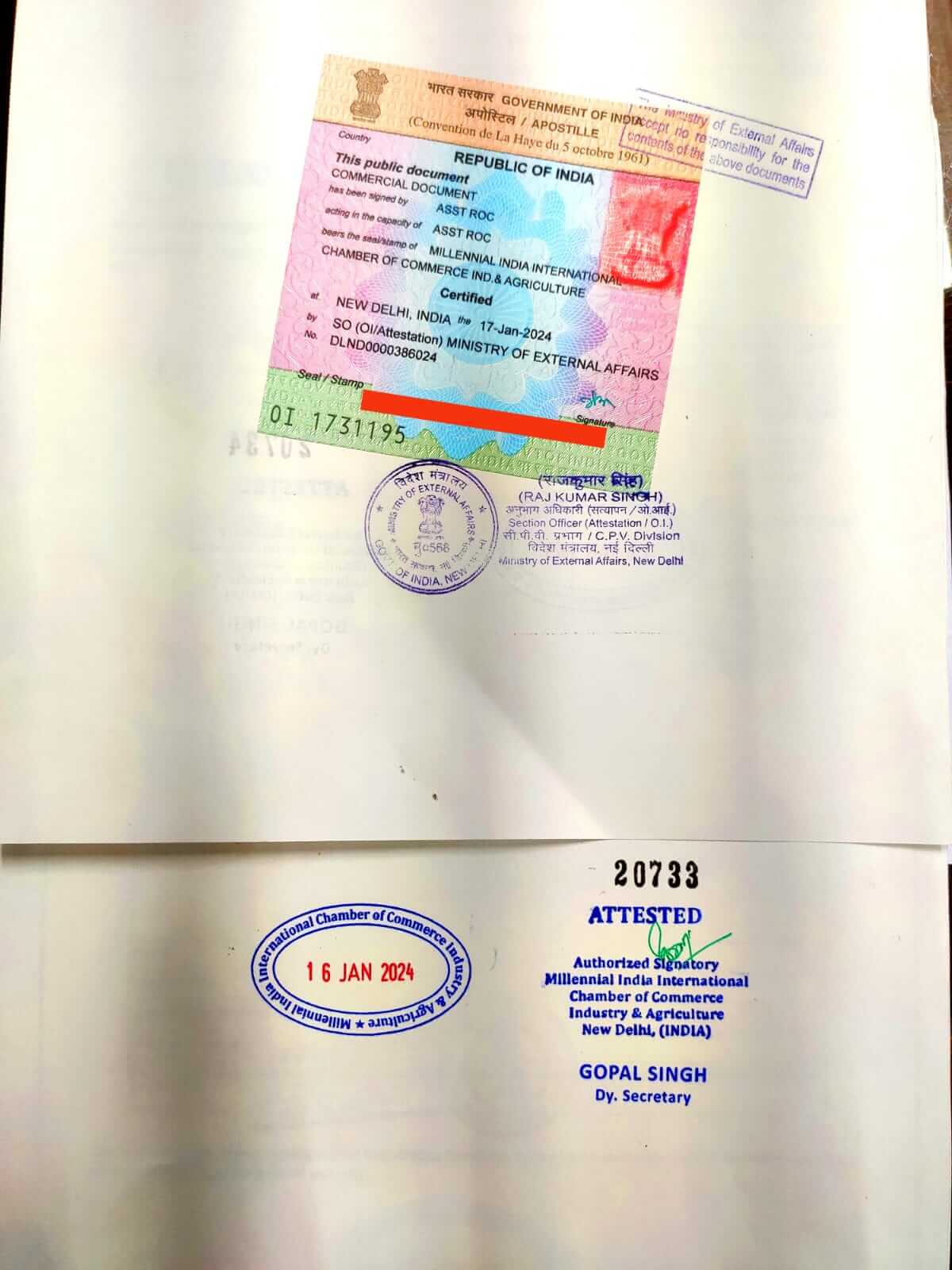 IMG20240402WA0001_ezotc_1200