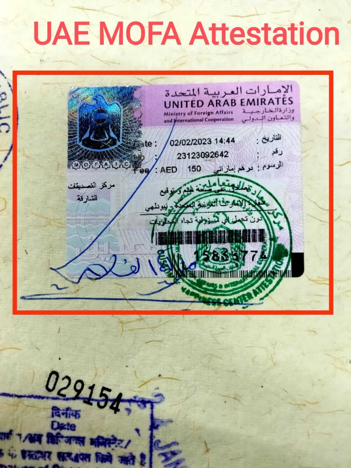 WhatsAppImage20241222at13_mzmzy_1200