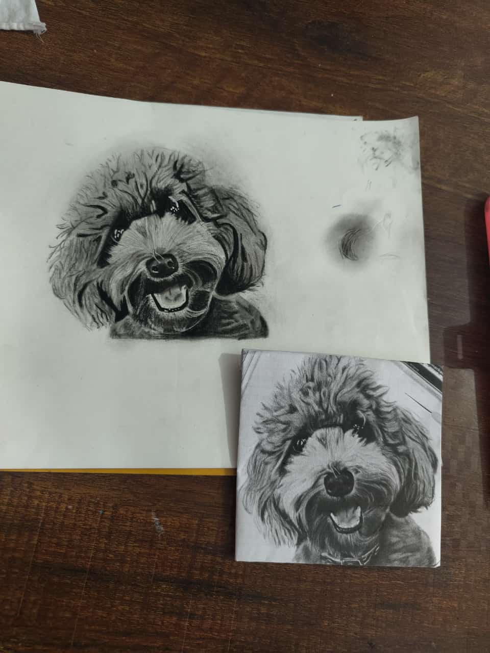 WhatsAppImage20251015at12_c1ndc_960