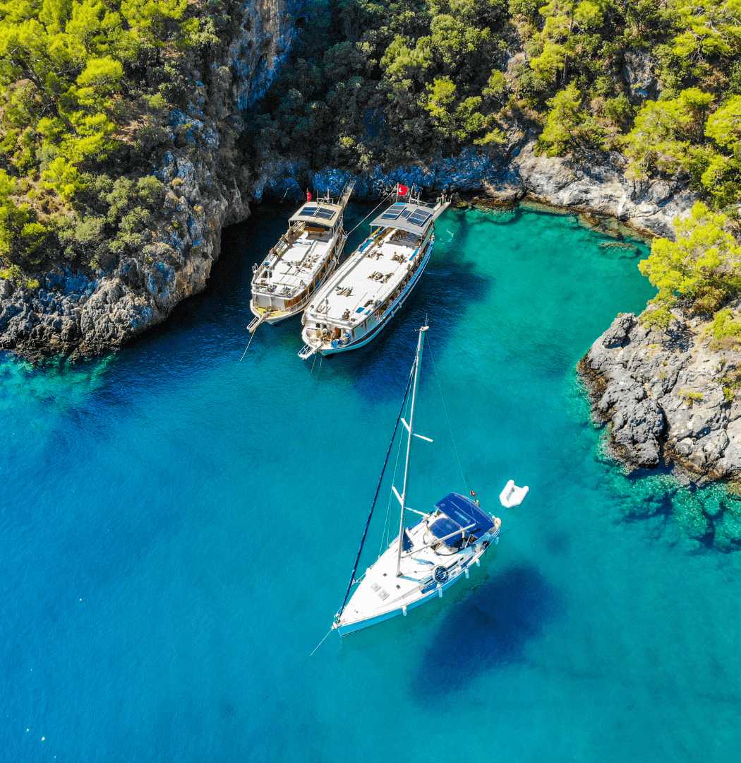 Untitleddesign93_c0nda_1050