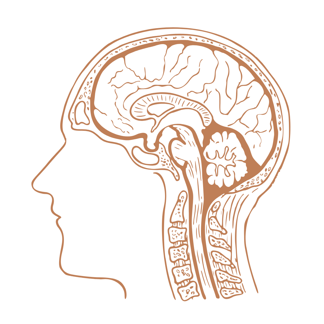 Brain_azmti_1080