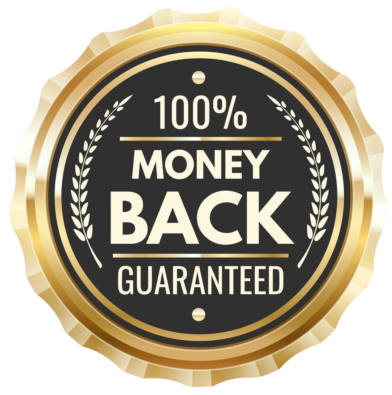 moneybackguaranteegoldenbadgemetallabel_ixntu_1276