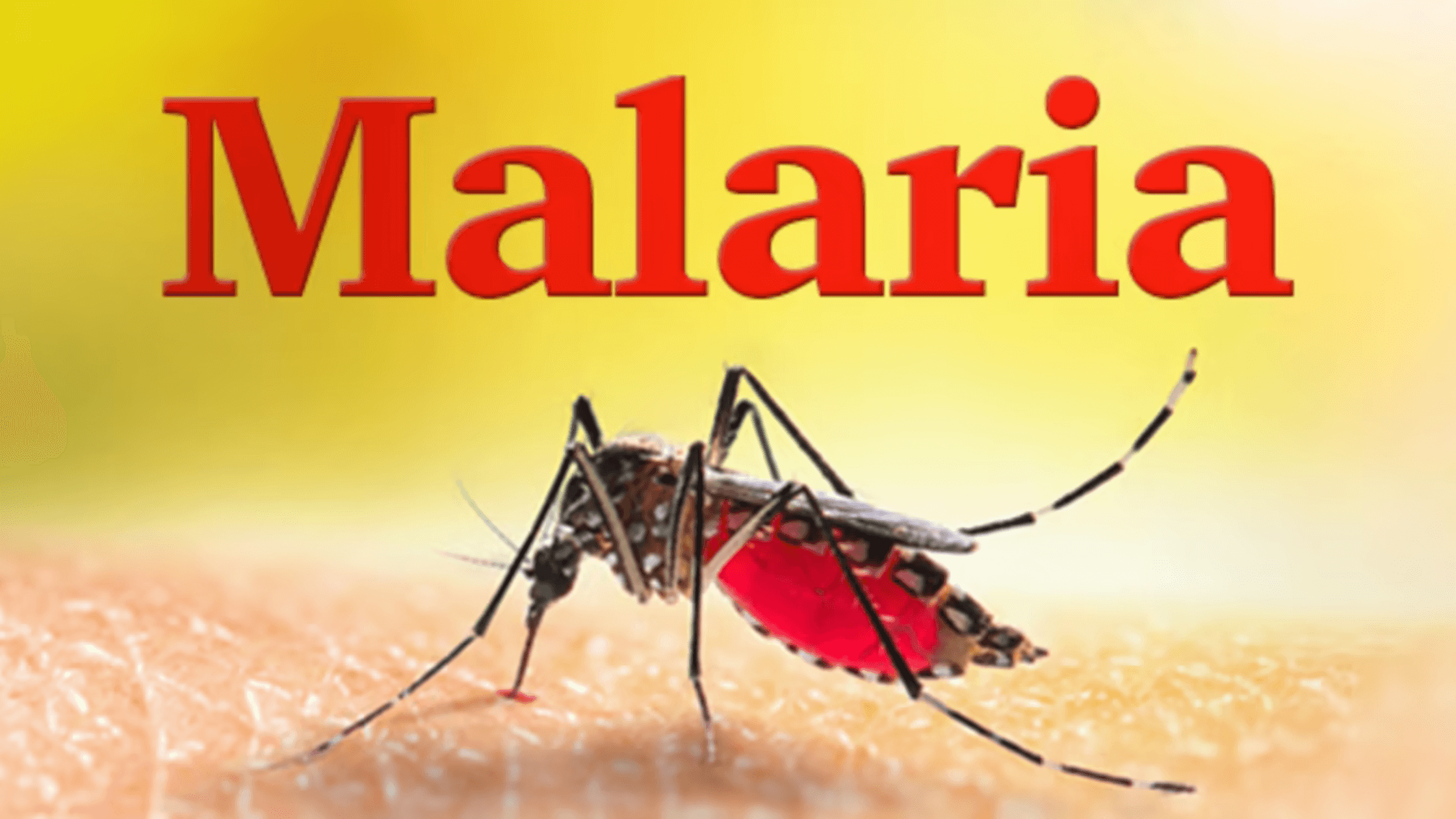 Malaria2_u2ote_2240