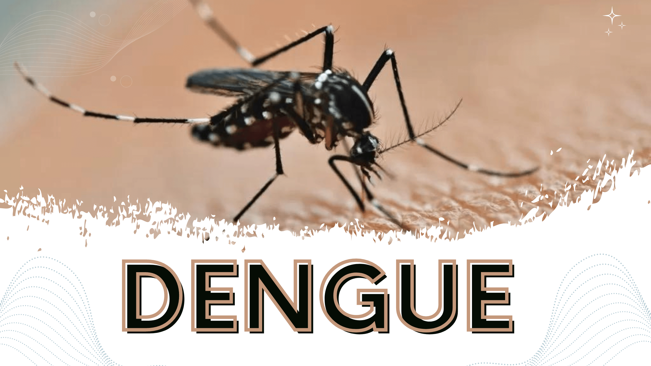 g4mty_2240_Dengue5