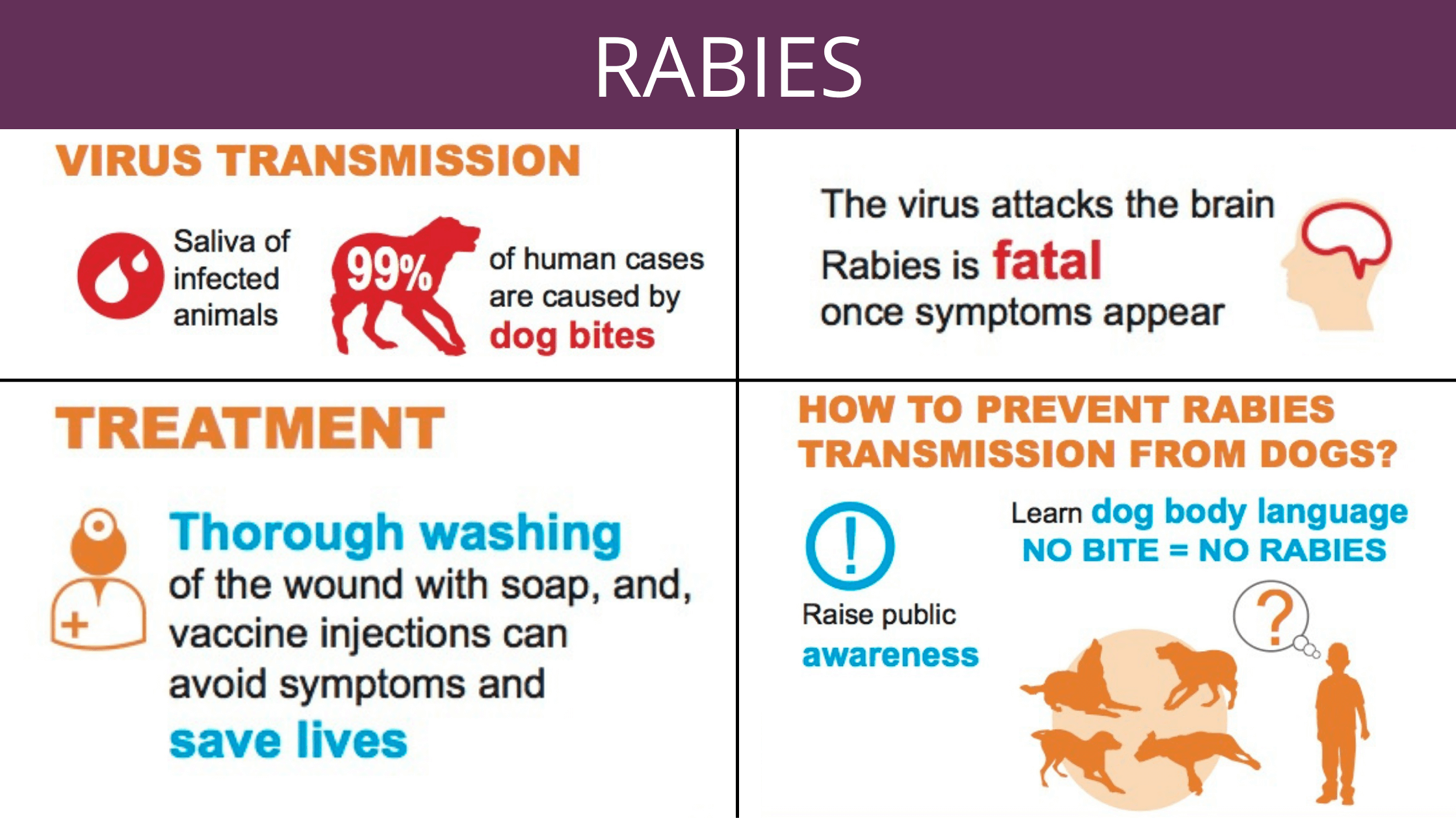 rabies doctor