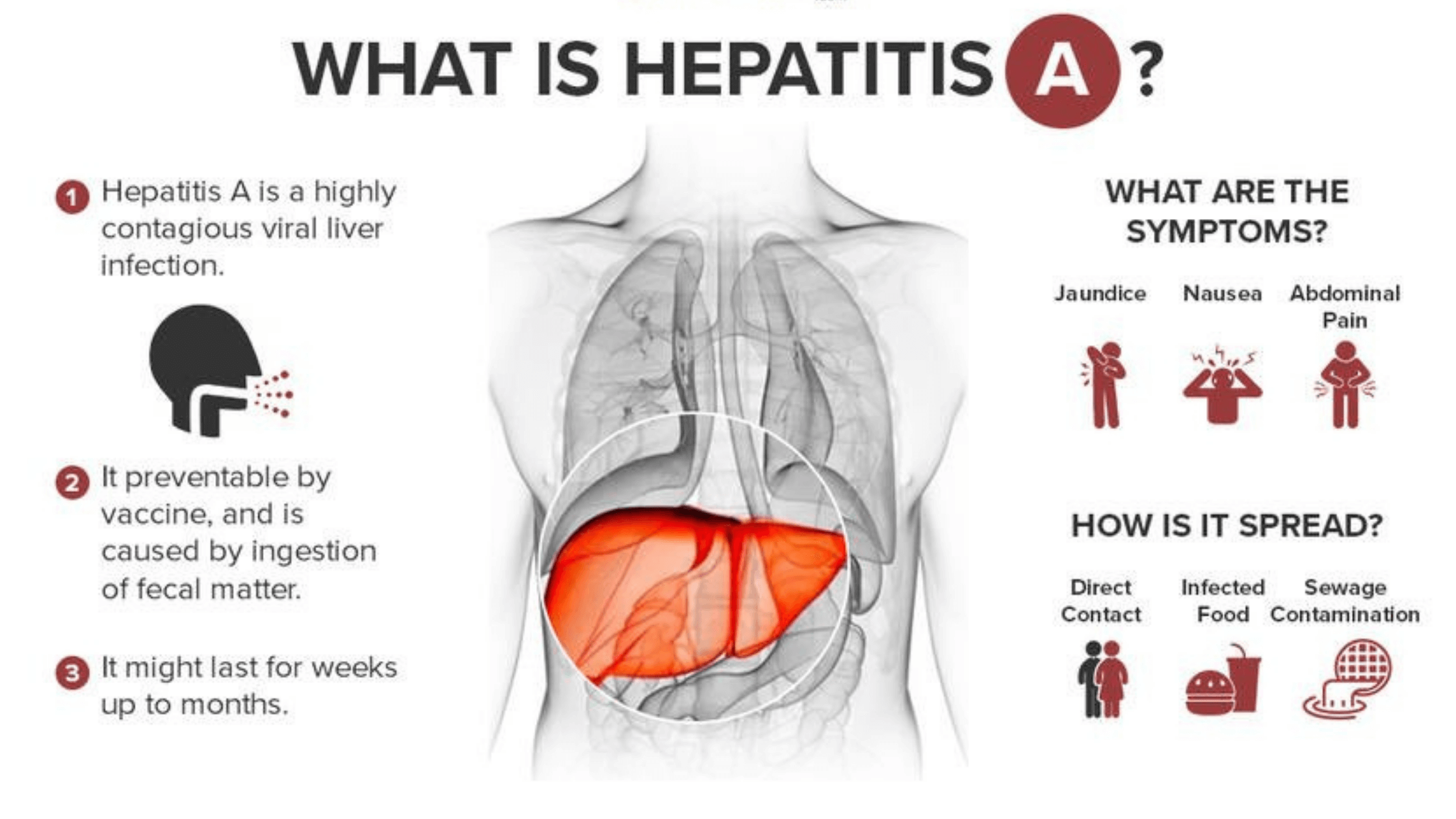 Hepatitis A Infection Specialist in Mumbai