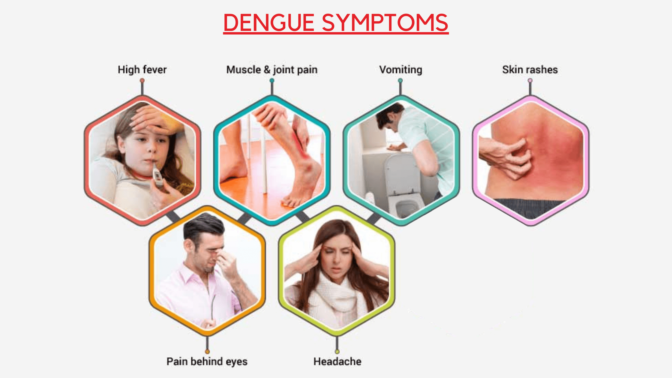 kxnjq_2240_denguefever4