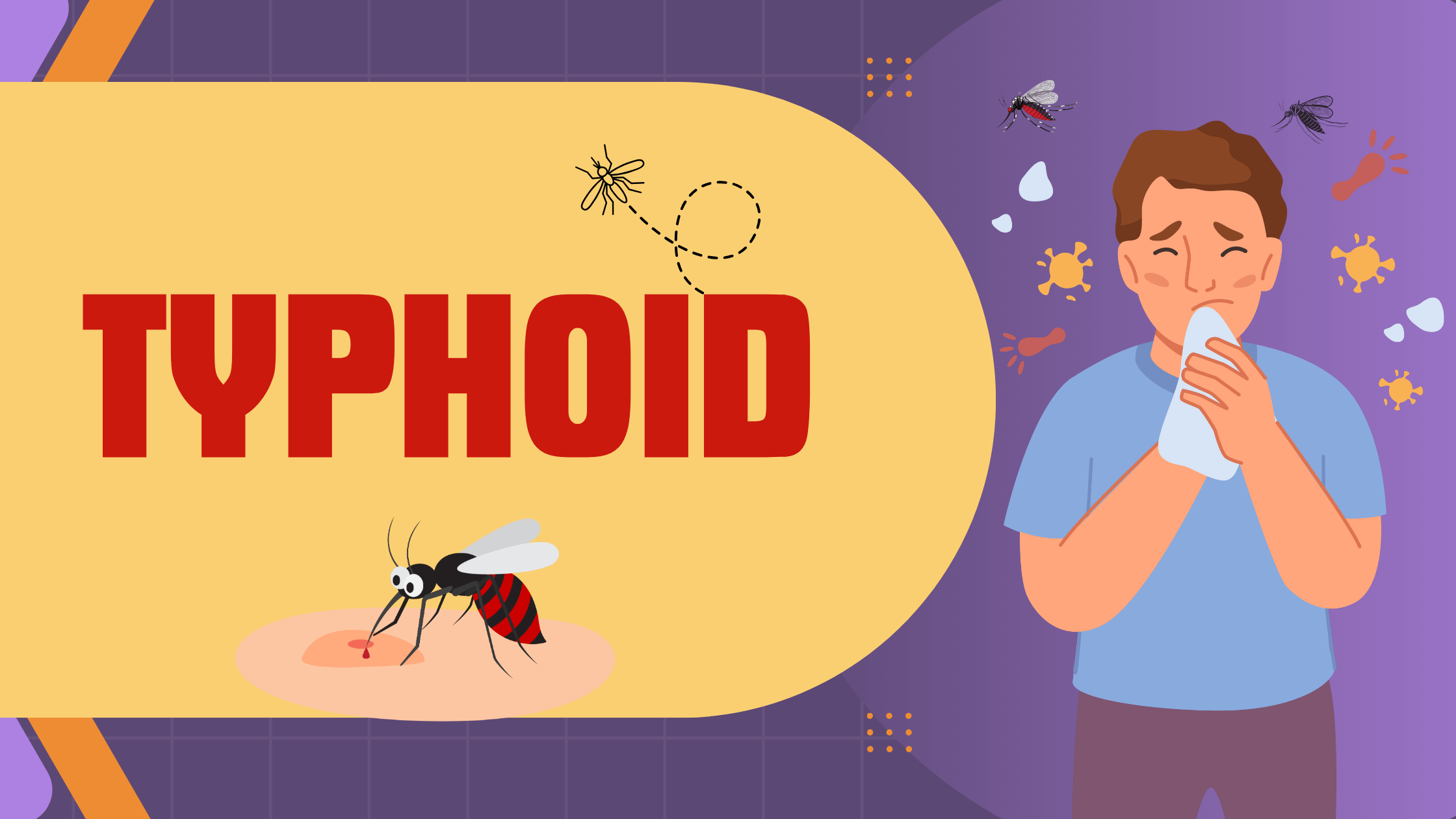 m1ndk_2240_Typhoid6