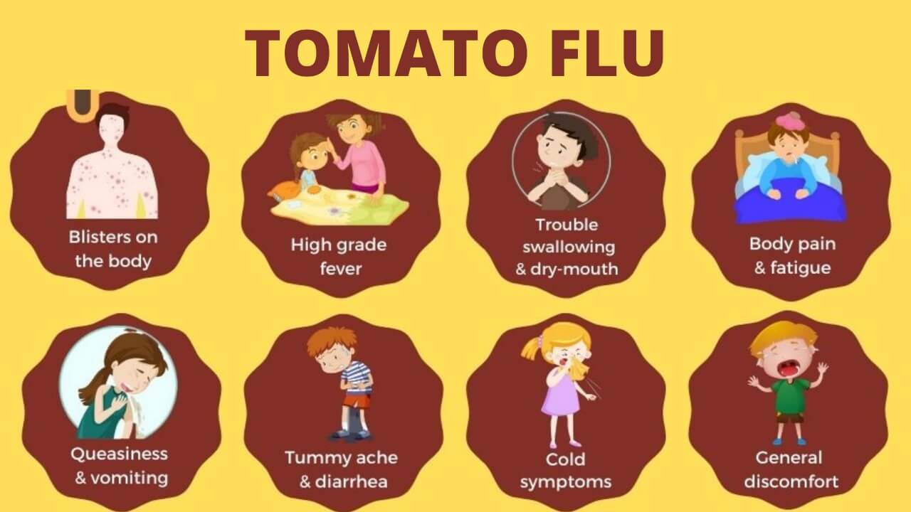 q1mda_1280_tomatoflu