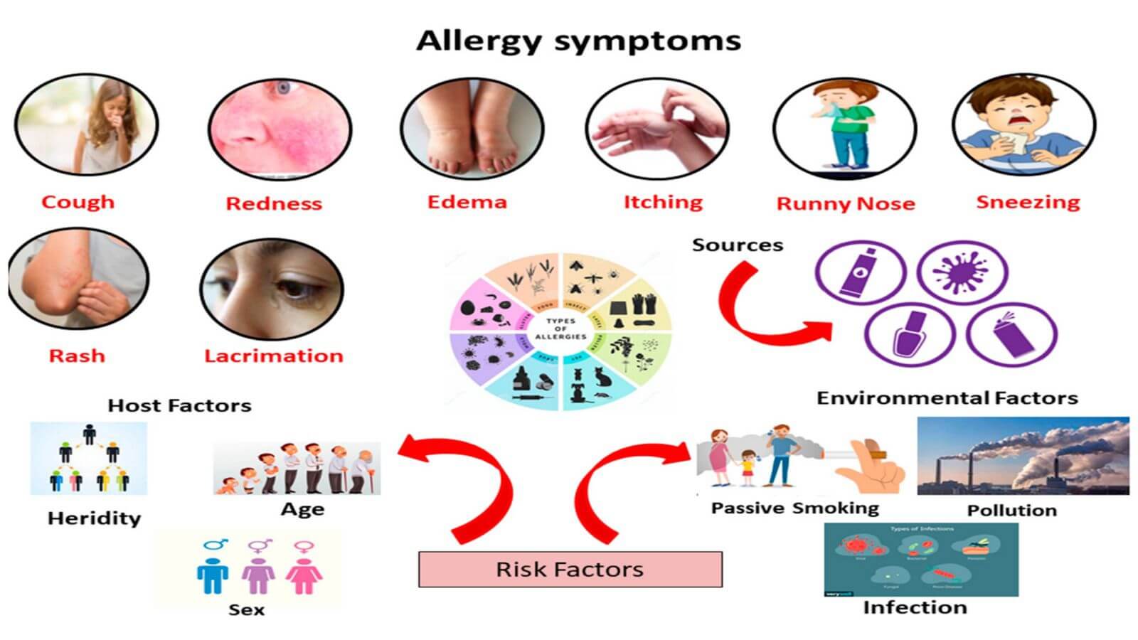 Allergy